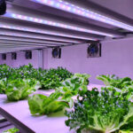 Is Aerogarden Going Out Of Business