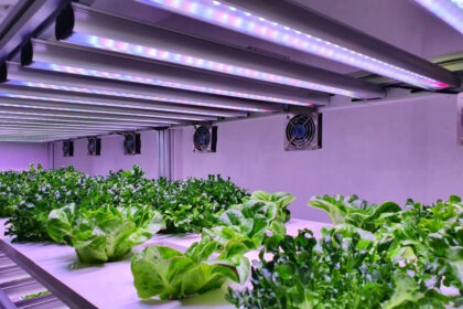 Is Aerogarden Going Out Of Business