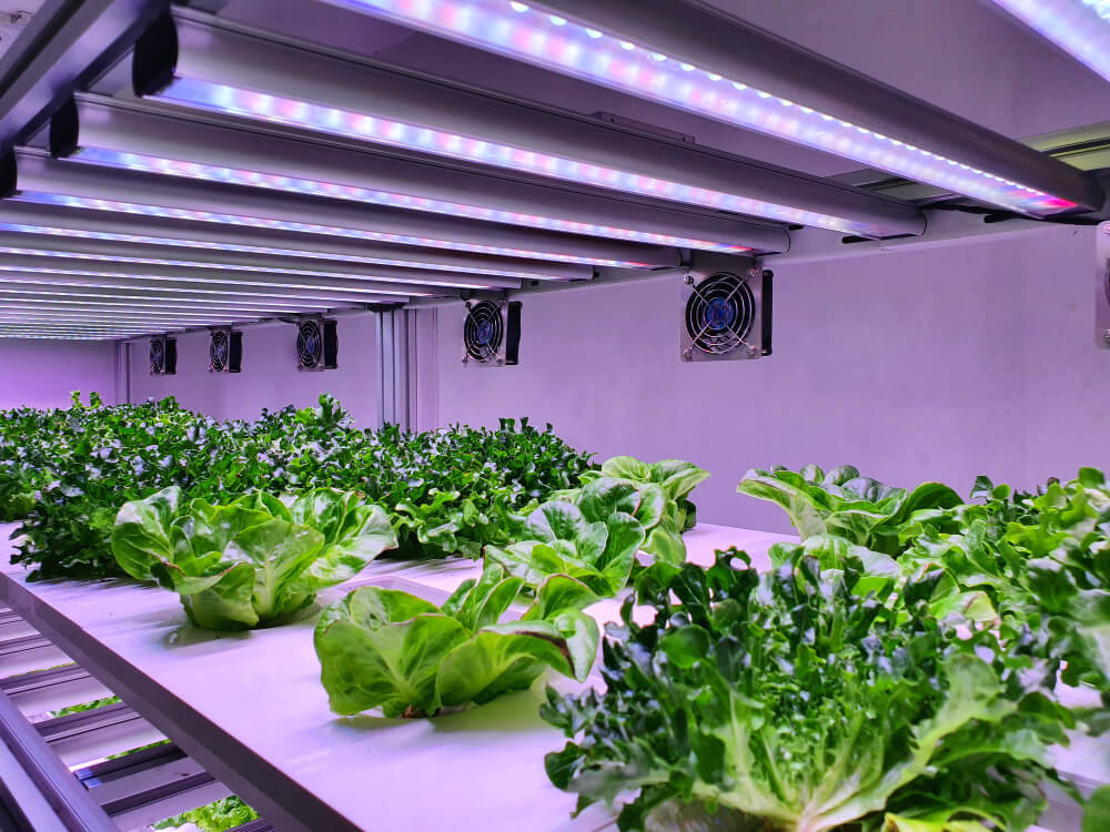Is Aerogarden Going Out Of Business